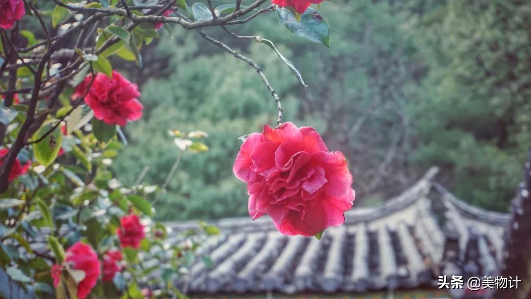 有冬要来有雪入怀泣不成声,有冬要来有雨入怀