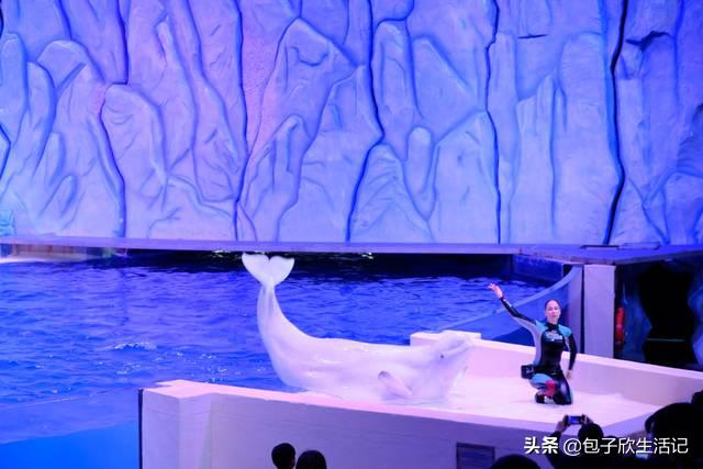 亲子珠海长隆海洋王国一日游攻略,珠海长隆海洋王国游玩攻略亲子