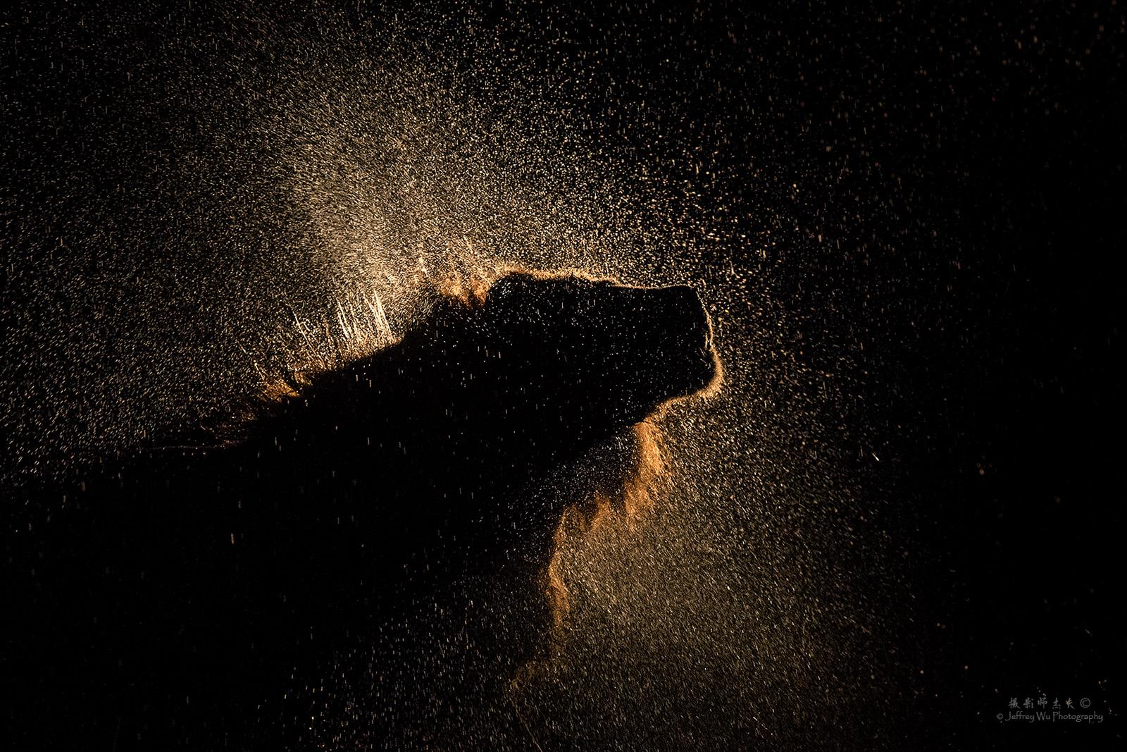 尼康d850完全摄影指南,尼康d850大变焦镜头推荐