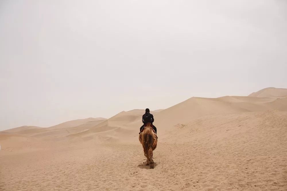 茶烟缭绕,茶烟缭绕什么歌