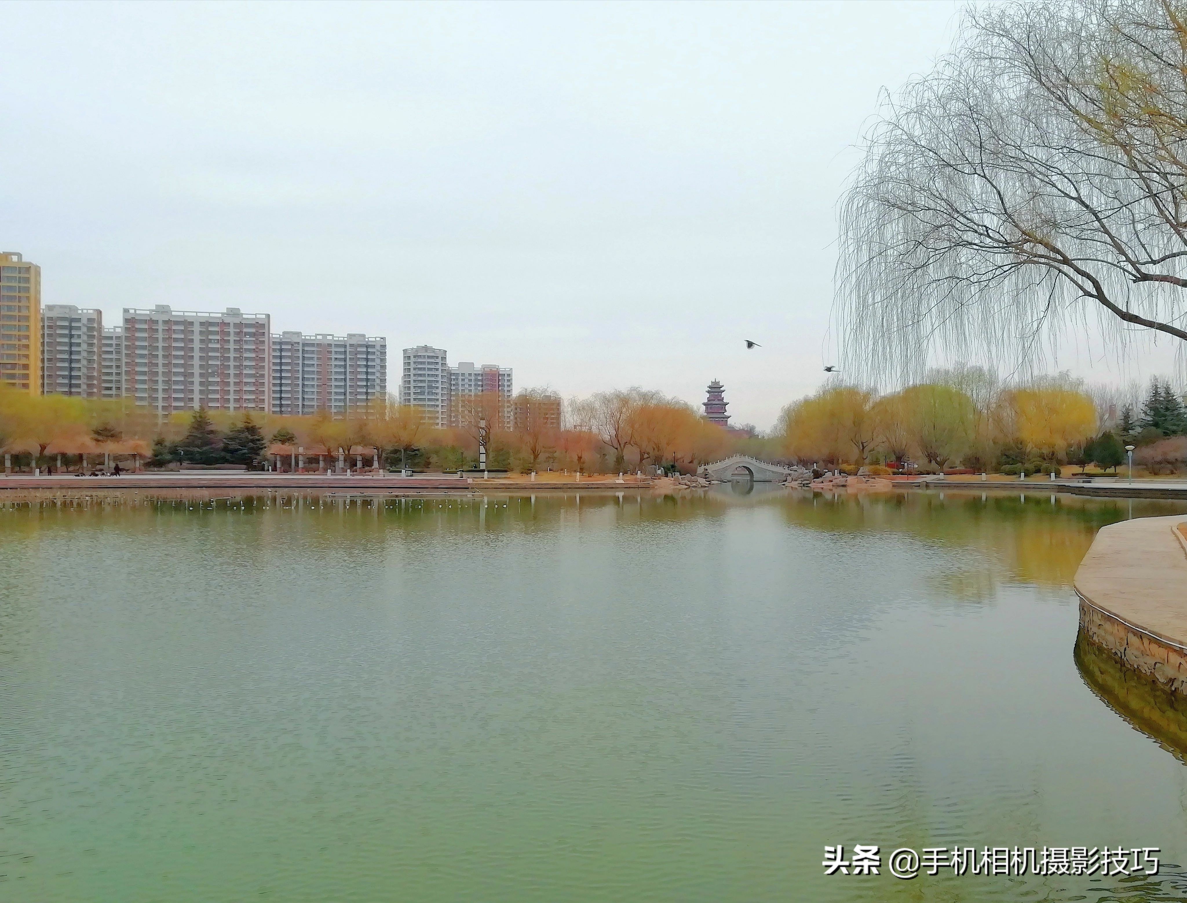 如何解决照片拍不好,怎么拯救拍得不太好的照片