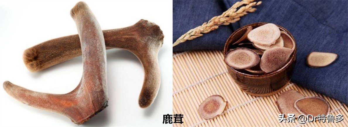 骨折中医和西医的意见不一样,骨折愈合中医西医一个不能少