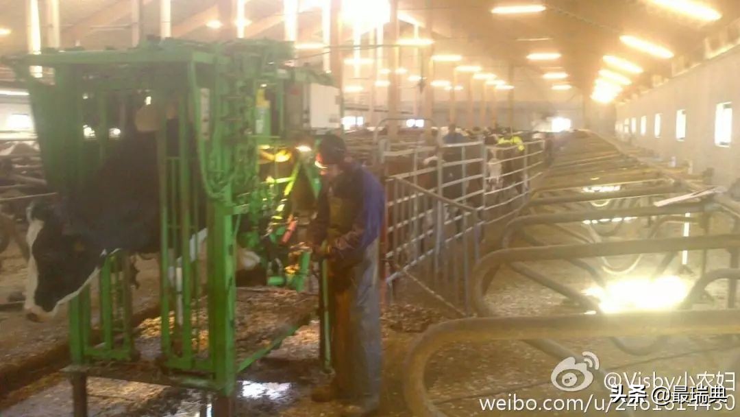 森宝奶粉80年——哺育一代代瑞典人