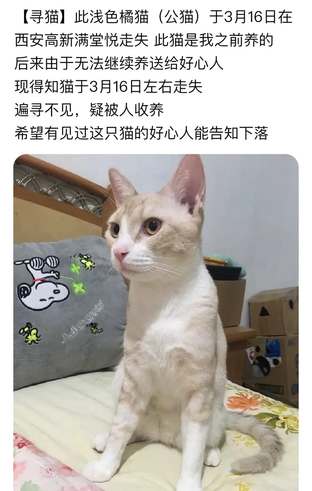 后浪西安,后浪陕汽西安