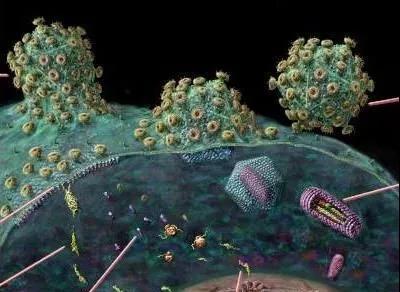 世界艾滋病日｜了解才能远离，不得不知的防艾常识