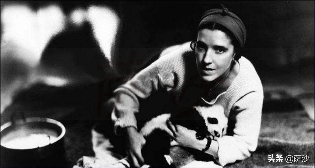 熊猫是如何被发现的英文版,熊猫是哪一年被人类发现的