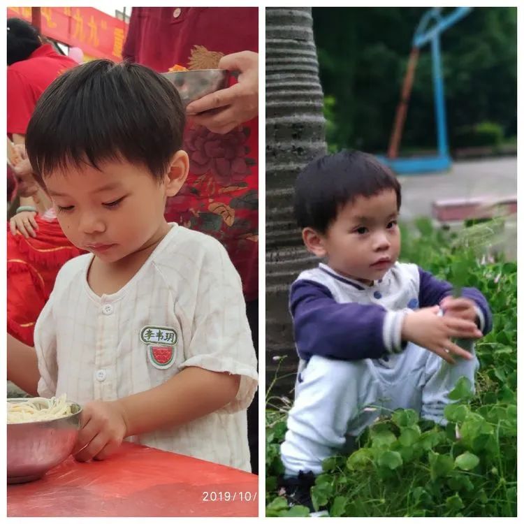 多肉不适合新手养,多肉入坑到什么程度好