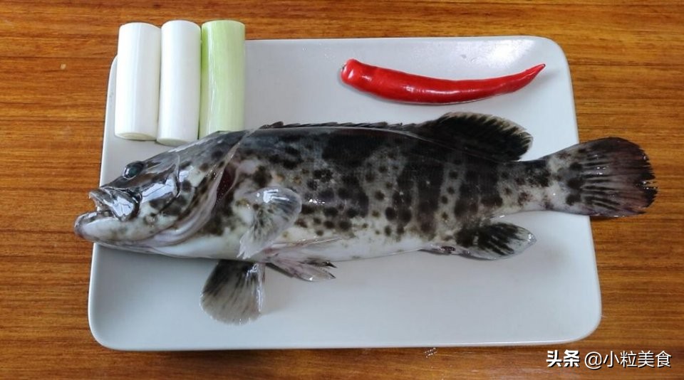 家宴上简单美味的清蒸石斑鱼,青石斑鱼除了清蒸还能怎么做