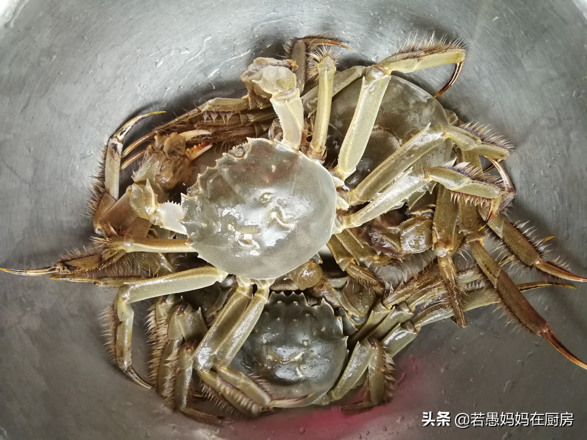 清蒸螃蟹的正确方法和吃法,清蒸螃蟹蟹块的正确方法