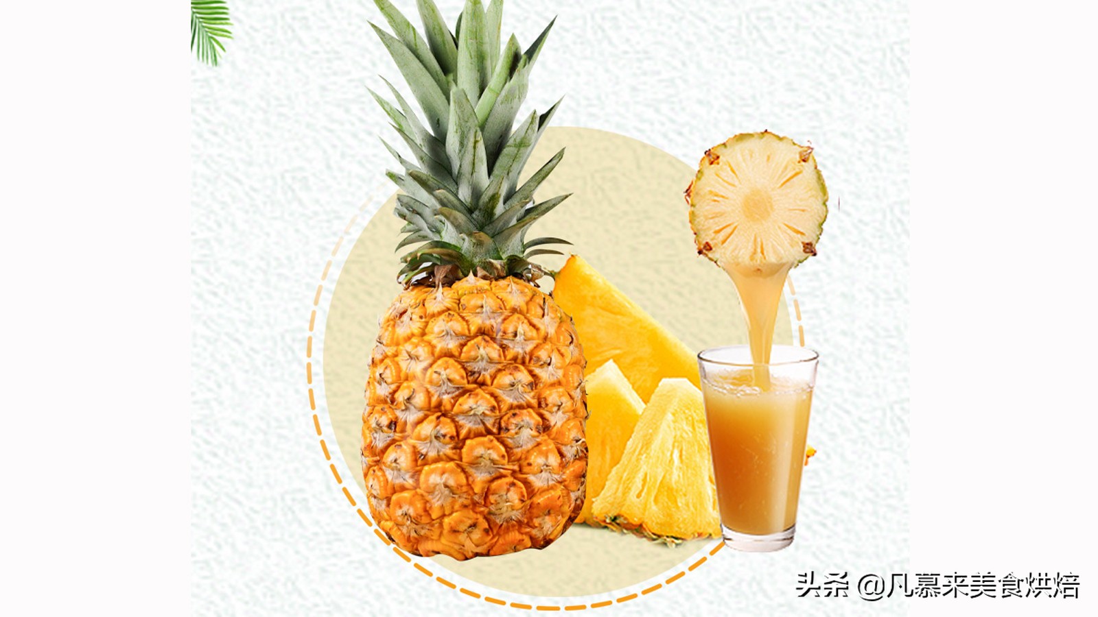 凤梨需要像菠萝一样在盐水里泡吗,菠萝和凤梨的区别哪个不用泡盐水