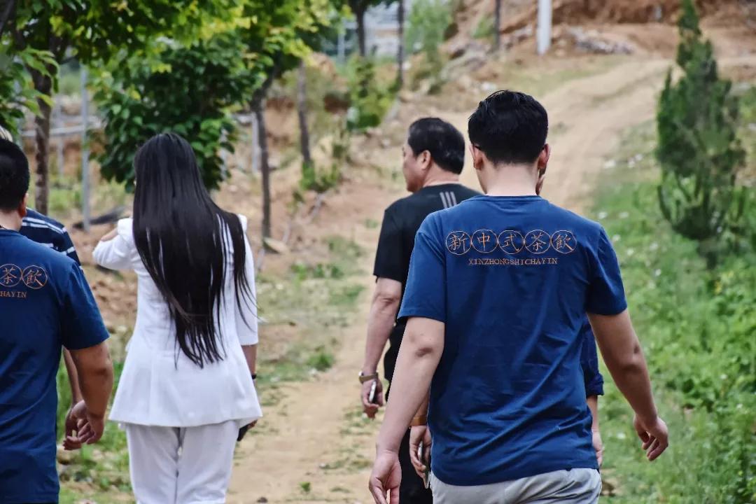 豌青茶业官方旗舰店,莒南县豌青茶业