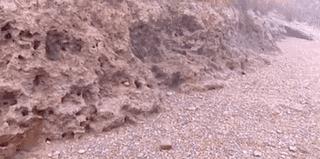 大闸蟹再成美国通缉犯，为啥美国人对大闸蟹束手无策（菲李漫画）