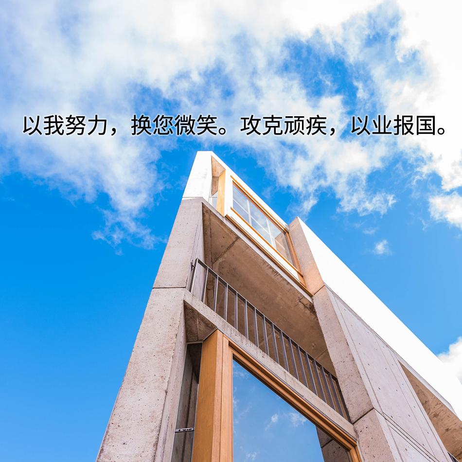 化学治疗和生物治疗,化学免疫治疗