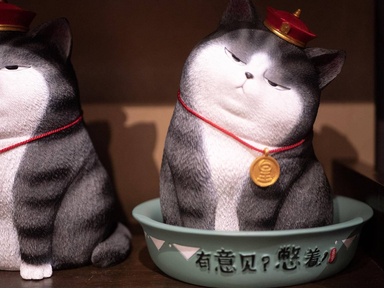 野路子摄影师小渔,松下gx9拍照效果怎么样