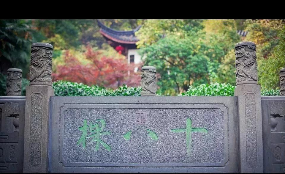 最贵最好喝的茶,最贵的十二把茶壶