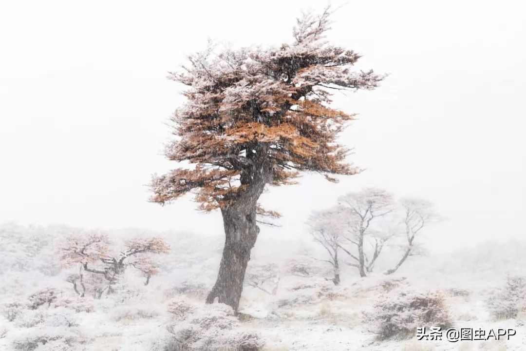 我是如何从没出过省,到周游几十个国家的?|图虫十年特辑Vol.1