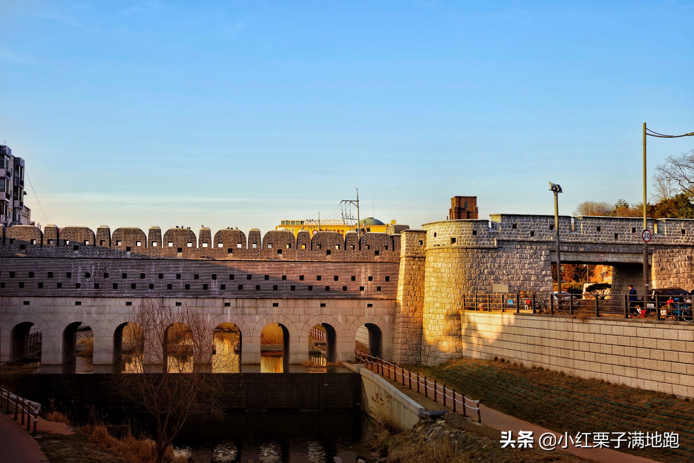 疫散花开张家界,疫散花开欢迎归来