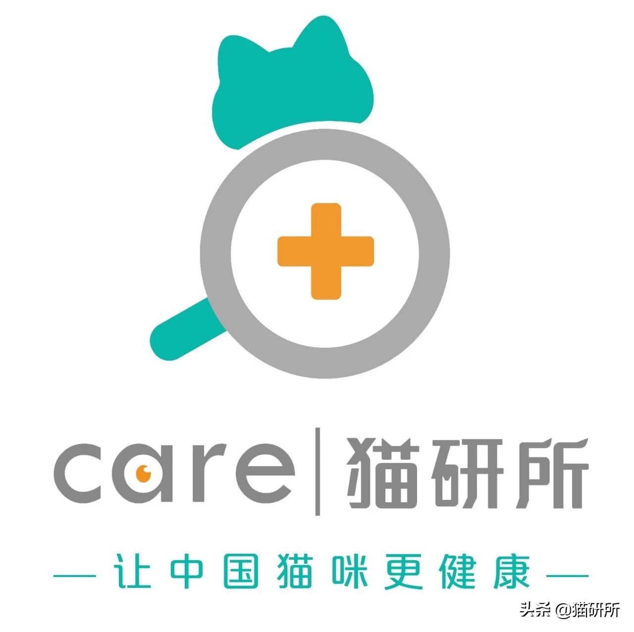 一张图学会判断猫咪拉稀严重程度,一张图学会判断猫咪呕吐