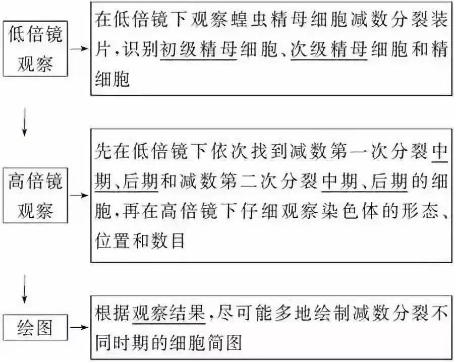 河南高中会考生物必背知识点,生物显微镜实验视频高中