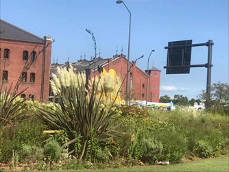 日本留学男生纪录片,日本留学男大学生