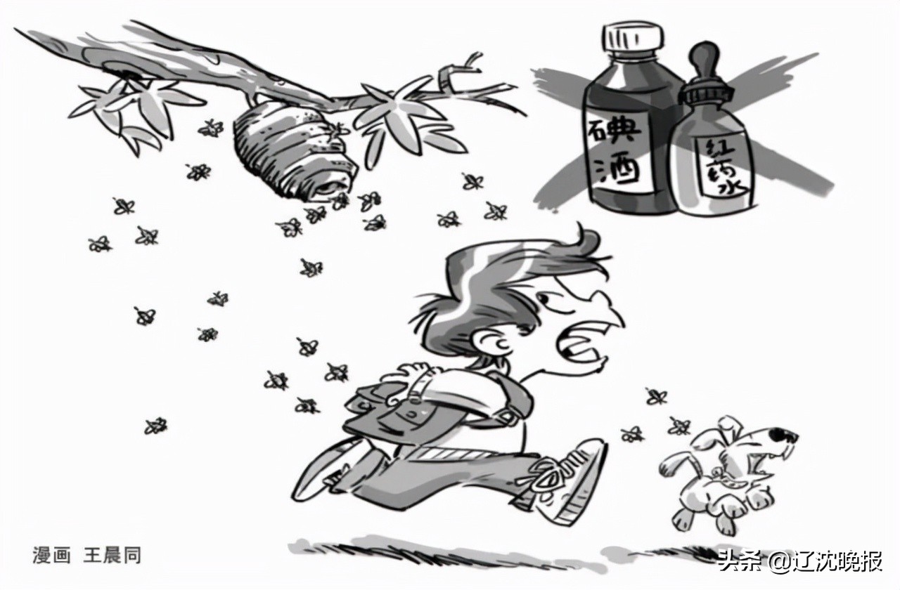 马蜂被蜇怎么办,被马蜂攻击找马蜂最好方法