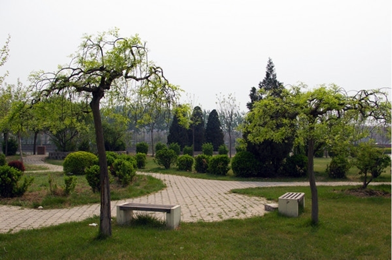 「中国民航大学」优势学科、特色专业及报考建议