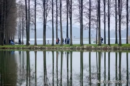 武汉东湖游玩攻略骑行路线,来武汉东湖绿道打卡玩法全攻略