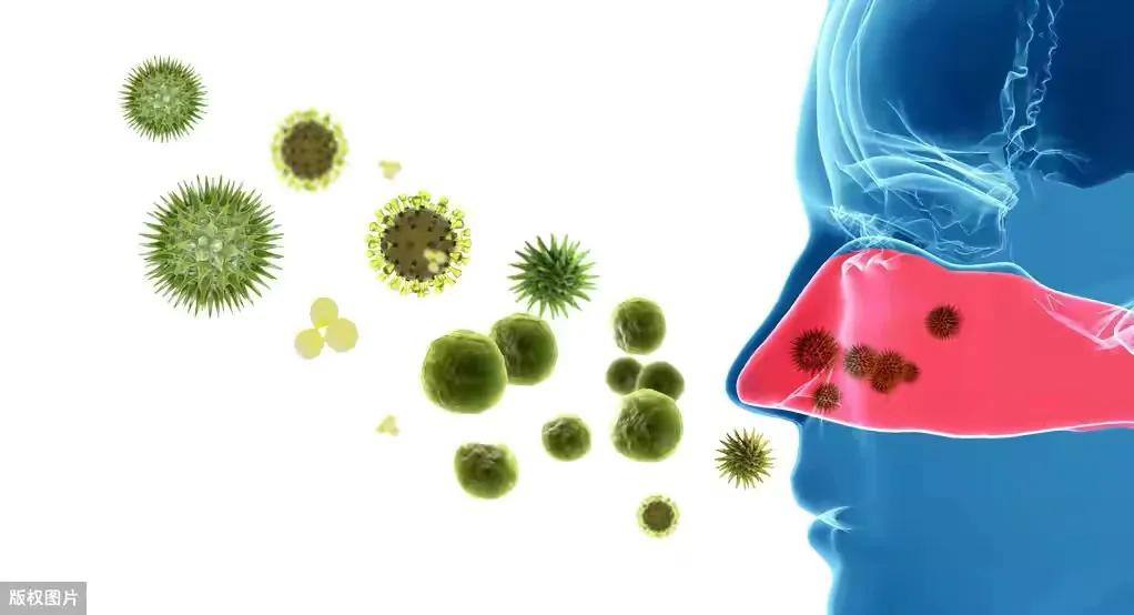 红霉素眼膏能治鼻炎吗怎么用呢,红霉素眼膏对于过敏性鼻炎有用吗