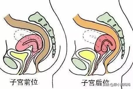 何洁一碰就怀孕,何洁哭诉易孕体质一碰就怀