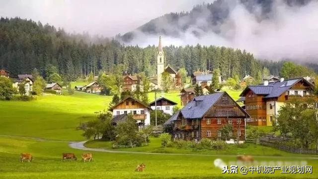 浔龙河小镇乡村振兴,浔龙河乡村振兴