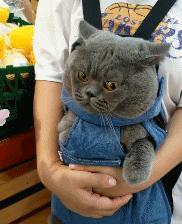 冷敷贴和修复贴哪个好用,医用冷敷贴面膜和修复贴的区别