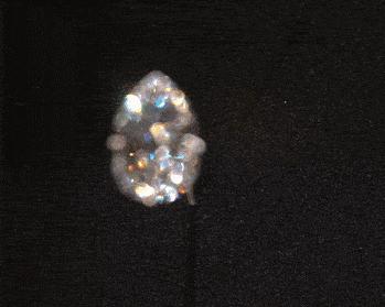 超出想象的奢侈品,超出想象完整版视频