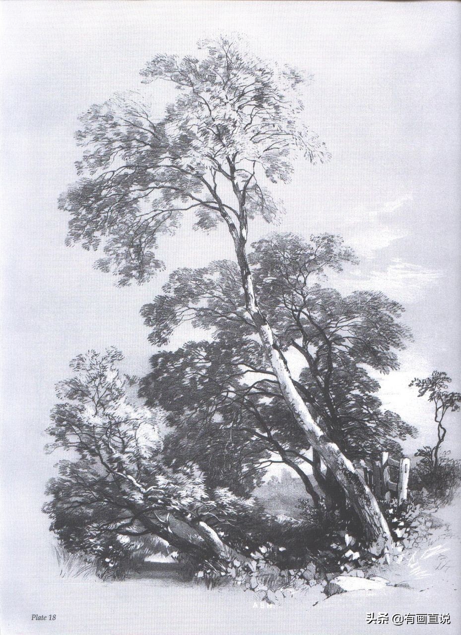 素描临摹高清大图初学,素描教程初学者临摹图