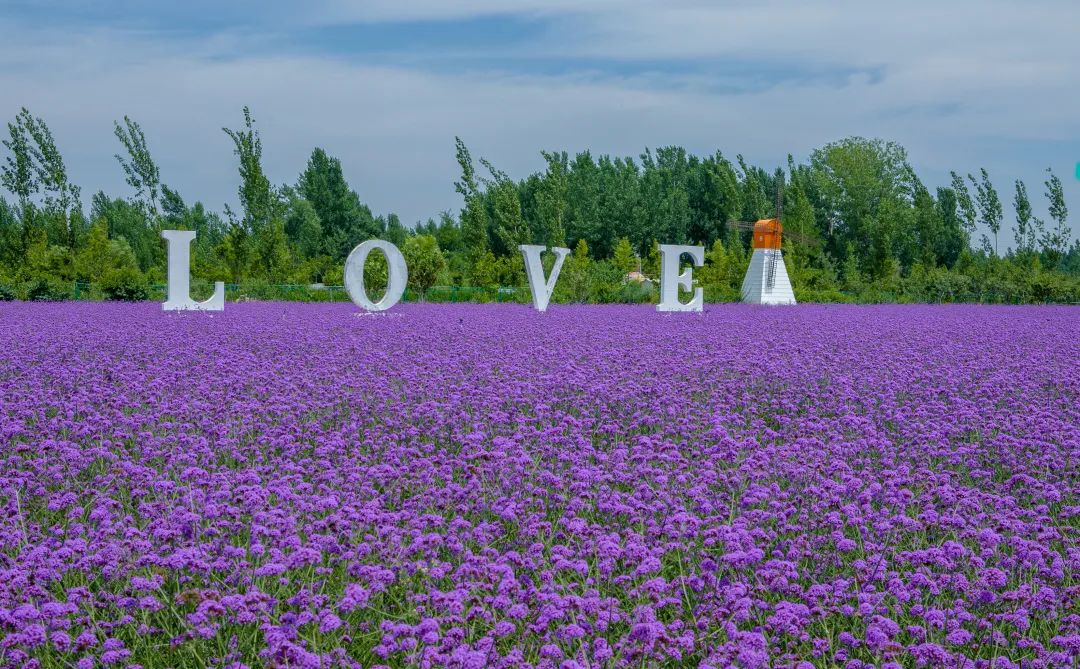 在济南花式避暑，一见“清”心！只需一瞥，便足以把酷夏原谅…