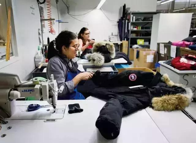 上万块的加拿大鹅有什么区别,加拿大鹅绒一斤多少钱