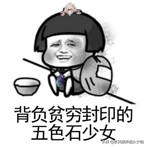 铲屎官每个月花多少钱,铲屎官日常挣奶粉钱