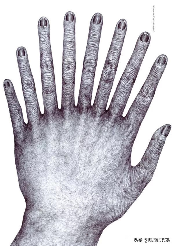 近年来实用的设计,最近的设计比赛