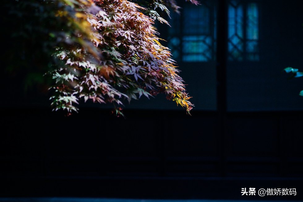 拙政园最让人欣赏的地方,拙政园十大特色