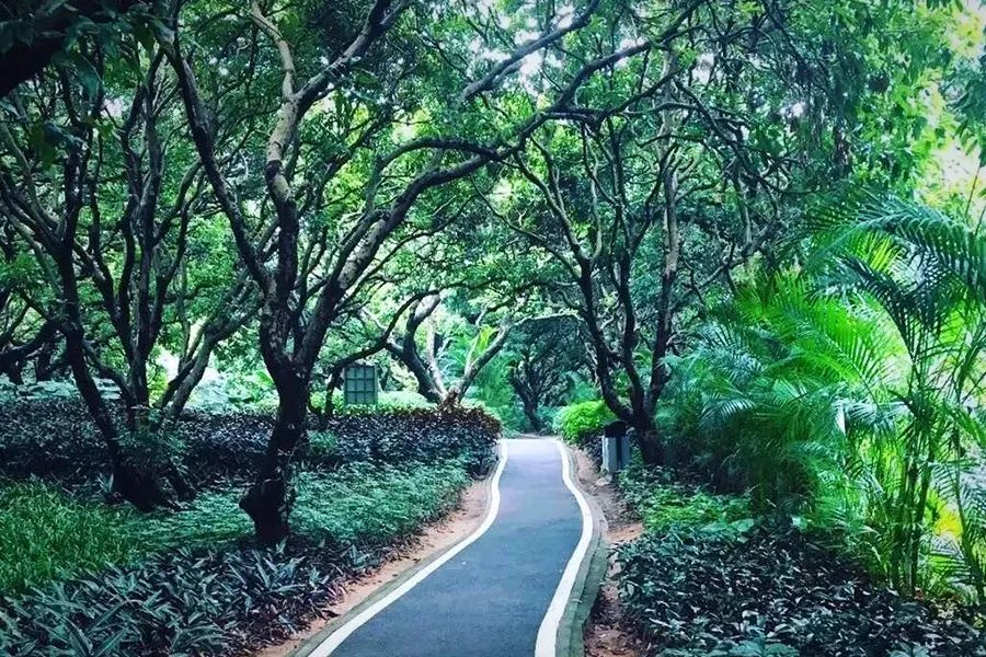 娣卞湷绗嬪矖鏂囧叿鎵瑰彂甯傚満鍋滀笟浜嗗悧,9鍙风嚎鍝竴绔欏埌鍗楁补鏈嶈鎵瑰彂甯傚満