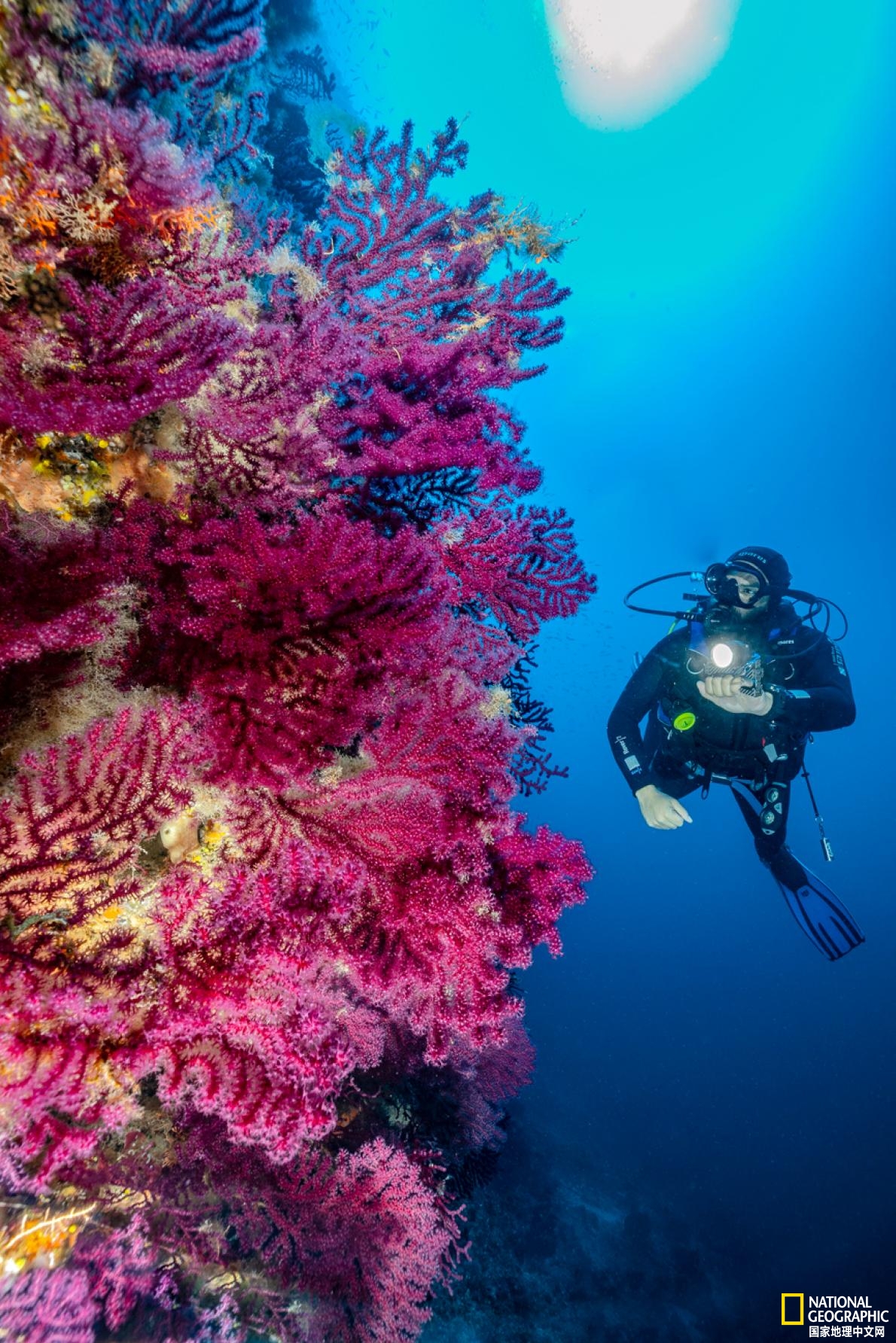 探索水下沉船宝藏,水下沉船博物馆