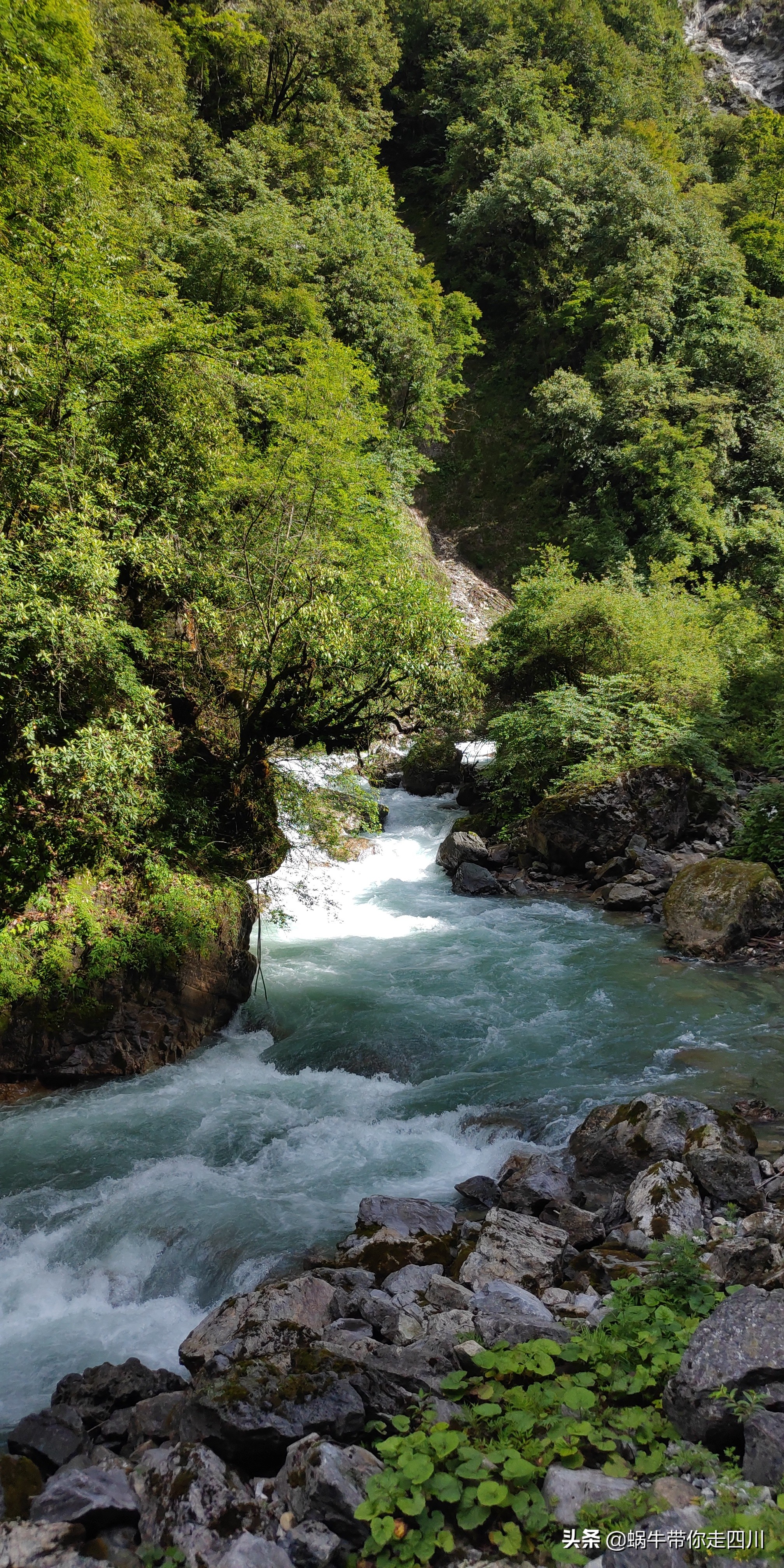 一家三口重庆到拉萨旅游攻略预算,一家三口成都去拉萨大概要多少钱