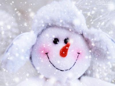 营口大风天气图片,营口下一轮强降雪预报时间