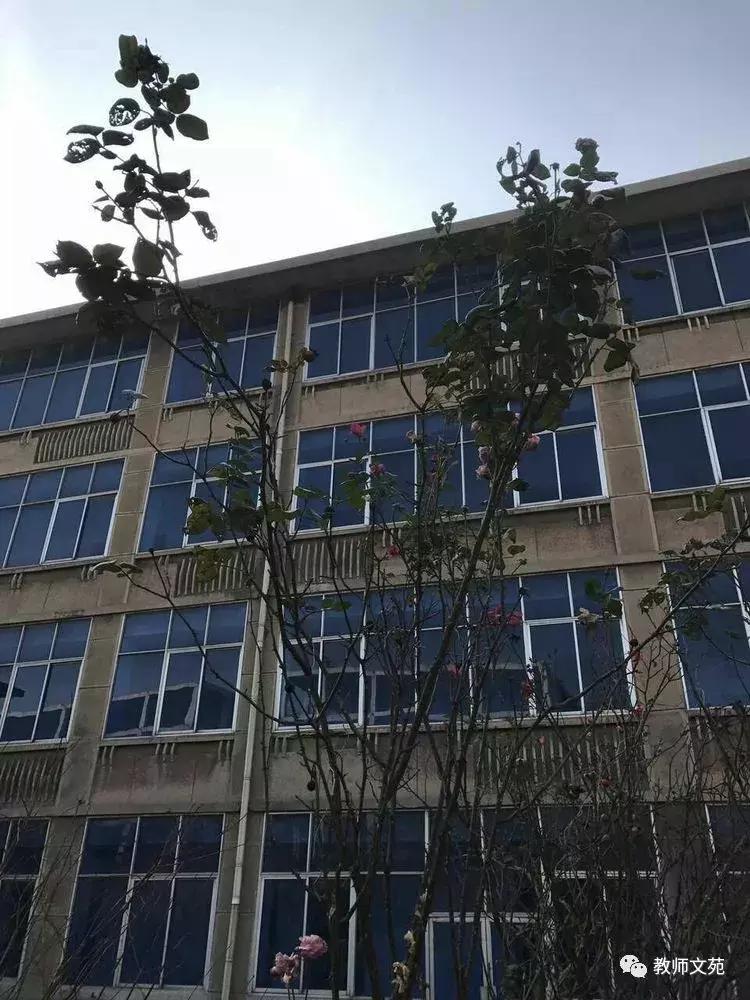 豫西师范前世今生,豫西师范回忆