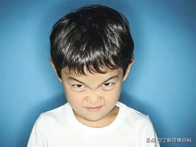 孩子头顶太多旋,孩子头顶有2个旋到底代表啥