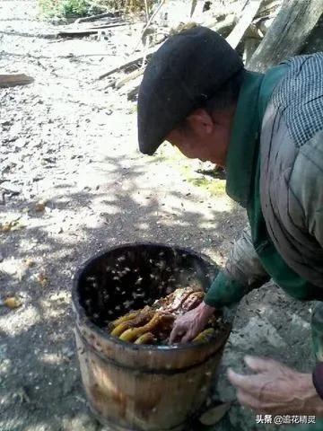 揭露蜂蜜的真相,揭露造假蜂蜜