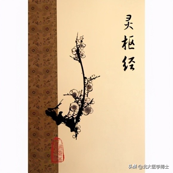 外阴白斑/*处私**瘙痒久治不愈?分享黑龙江中医药韩延华教授经验