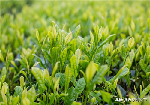 现在有什么投资小的创业项目,现在投资小回报大的行业有哪些