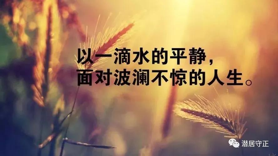 公司遇到难处怎么解决,公司太多琐事怎么安慰