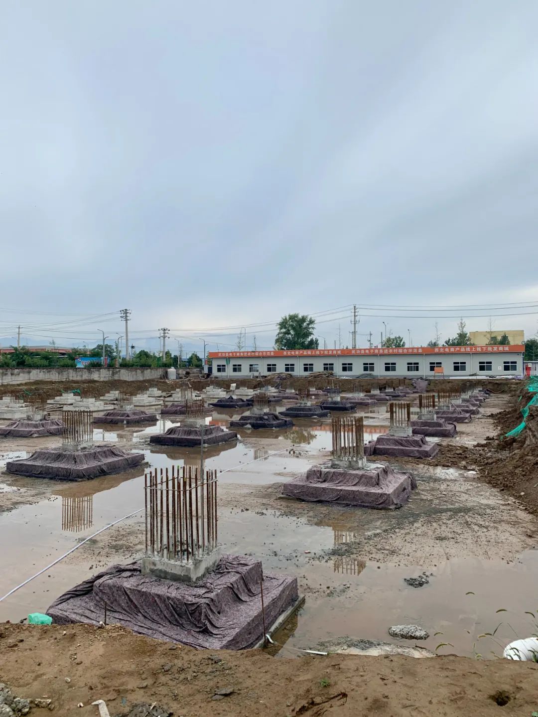 新疆农产品电商推介,新疆特色农产品杭州新电商启动