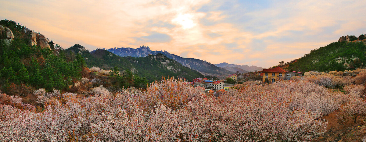 广东景区教师节免票,山叶口景区教师节免票吗